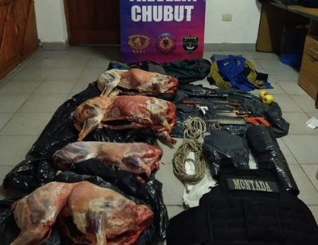 Abandonaron animales faenados Trevelin