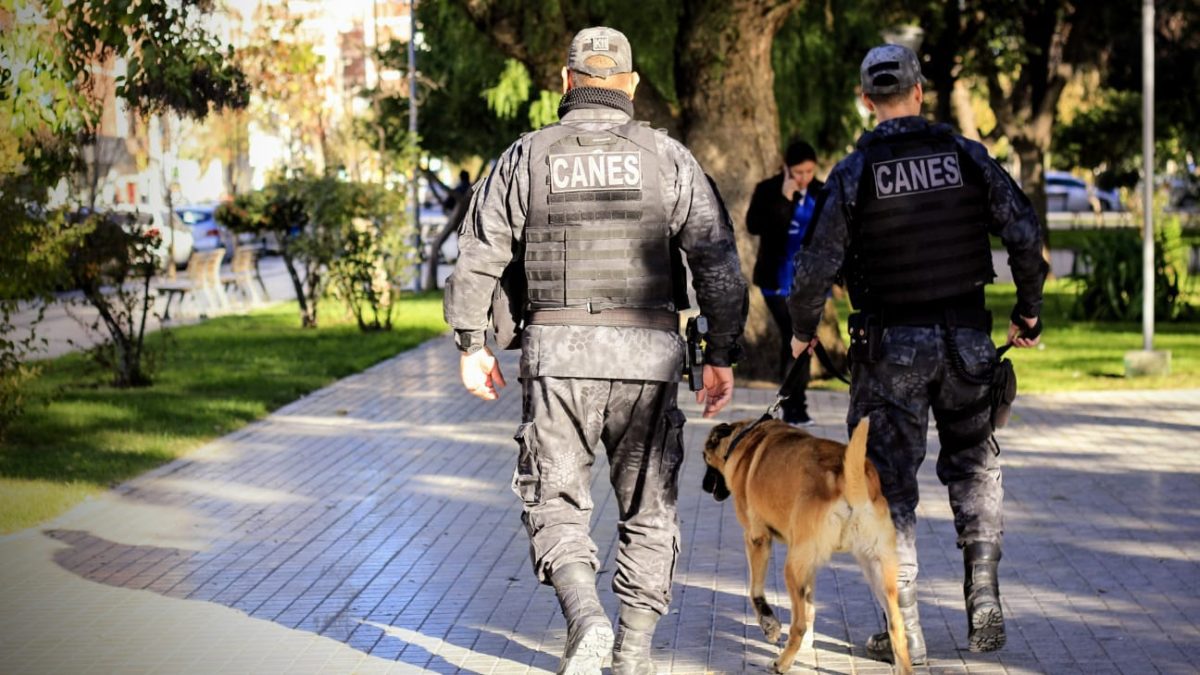 detienen indviduo con pedido de captura