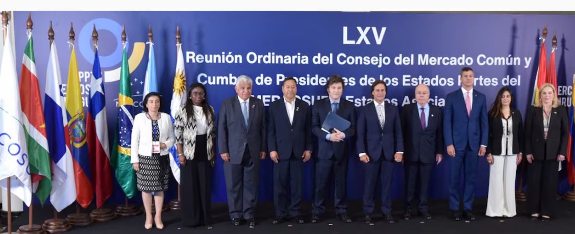 Milei viajó Paraguay Mercosur