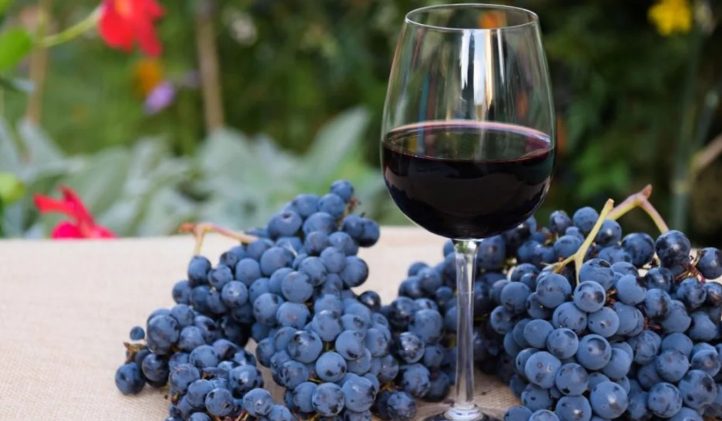Exportaciones de Malbec