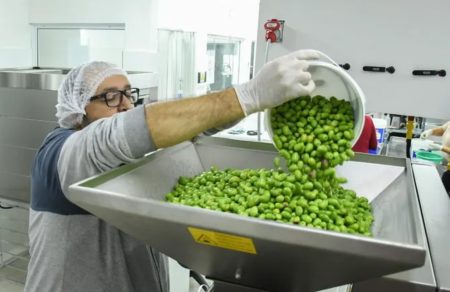Aceite sello Comodoro