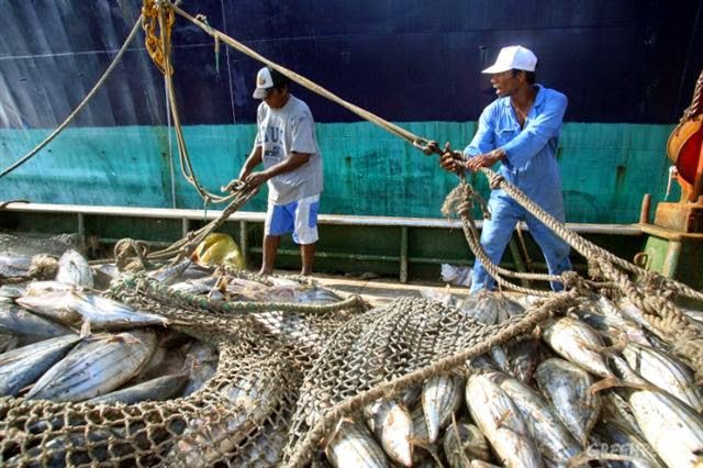 Controles de pesca furtiva