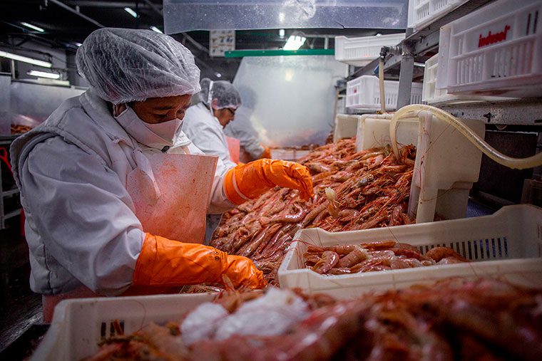 La certificación del langostino