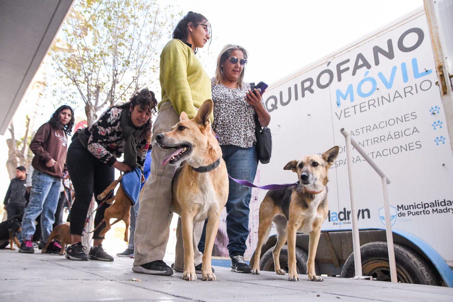Madryn cuidado responsable animales