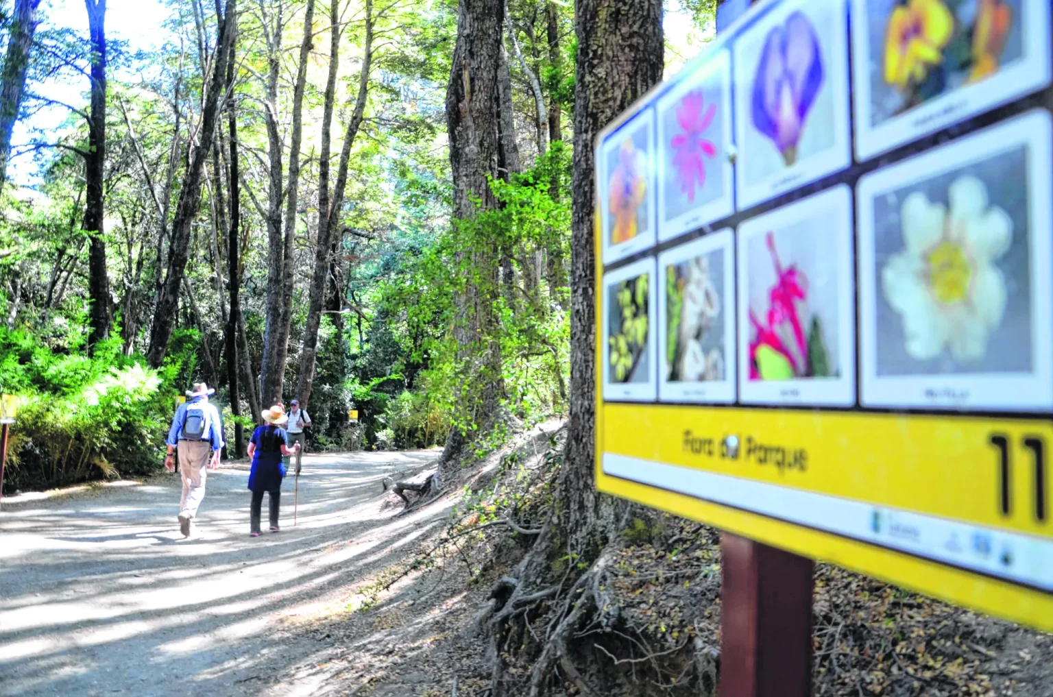 Trekking en Bariloche