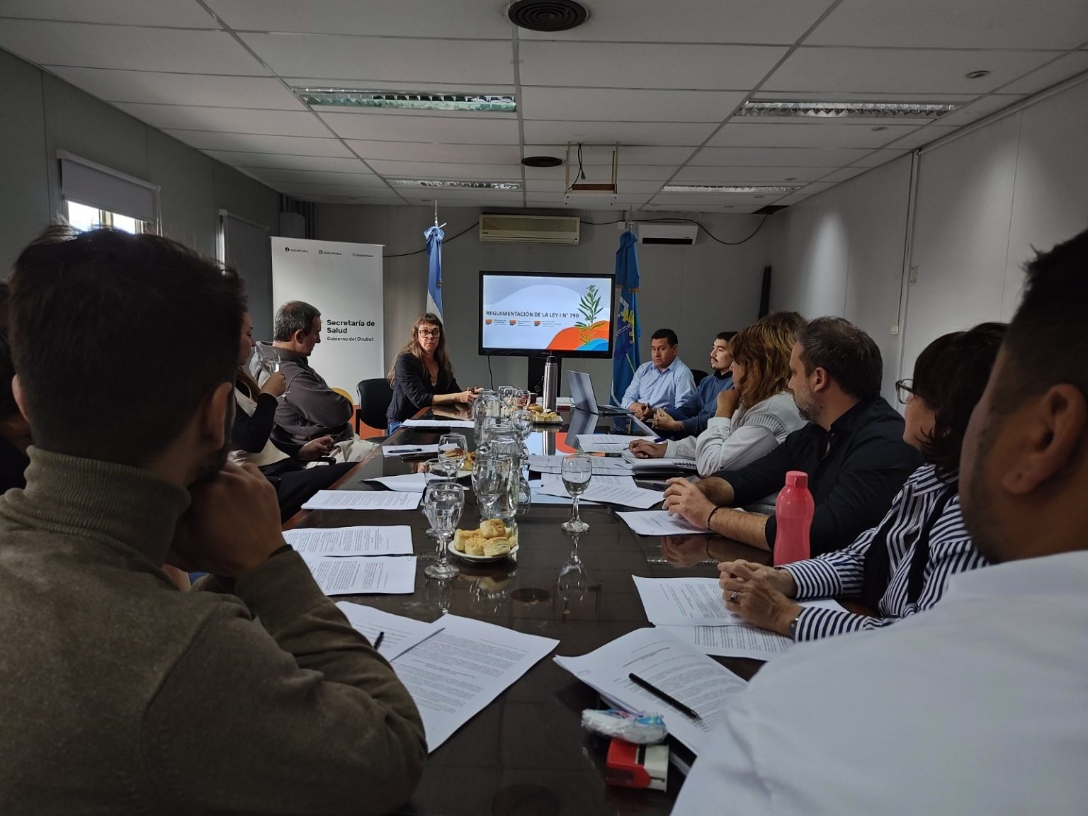 Chubut Ley Cannabis Medicinal