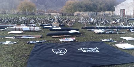 Chubut: Despliegan megaoperativo contra el abigeato y la caza furtiva