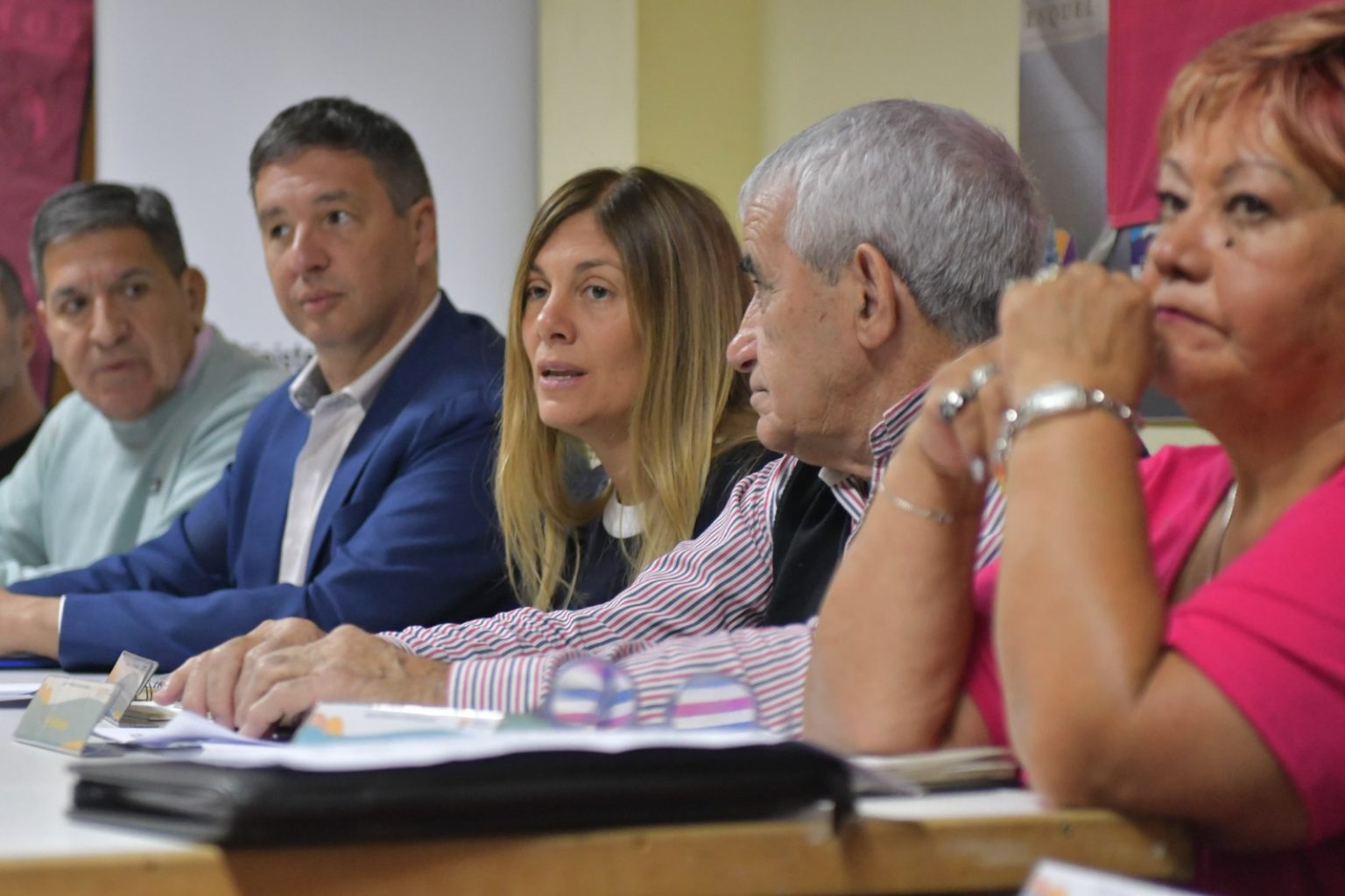 Plenario Consejo Adultos Mayores