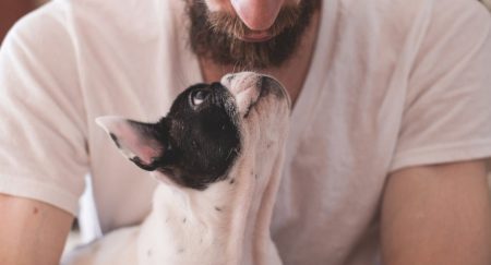 Puede ser un peligró que tu perro