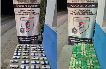 60 kilos de hojas de coca