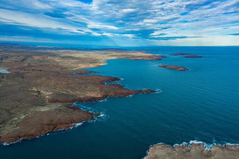 Alga Cachiyuyo de Chubut