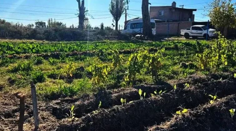 Catriel - Trabajador municipal tuvo sexo frente a las cámaras y la intendenta lo echó