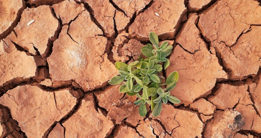 Crisis climática el mes pasado fue el segundo abril más cálido en todo el mundo, desde que existen registros
