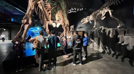 El MEF de Trelew se suma al programa por el Día Internacional de los Museos
