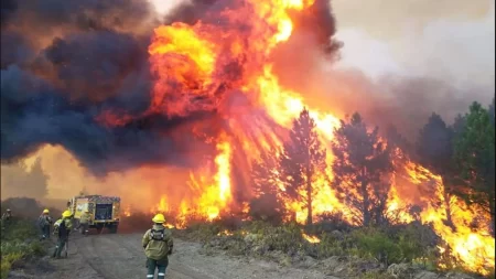 Flexibilizan el uso del fuego en parques nacionales
