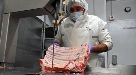 La barrera sanitaria no se levanta, pero habilitarían el ingreso de costillar a la Patagonia