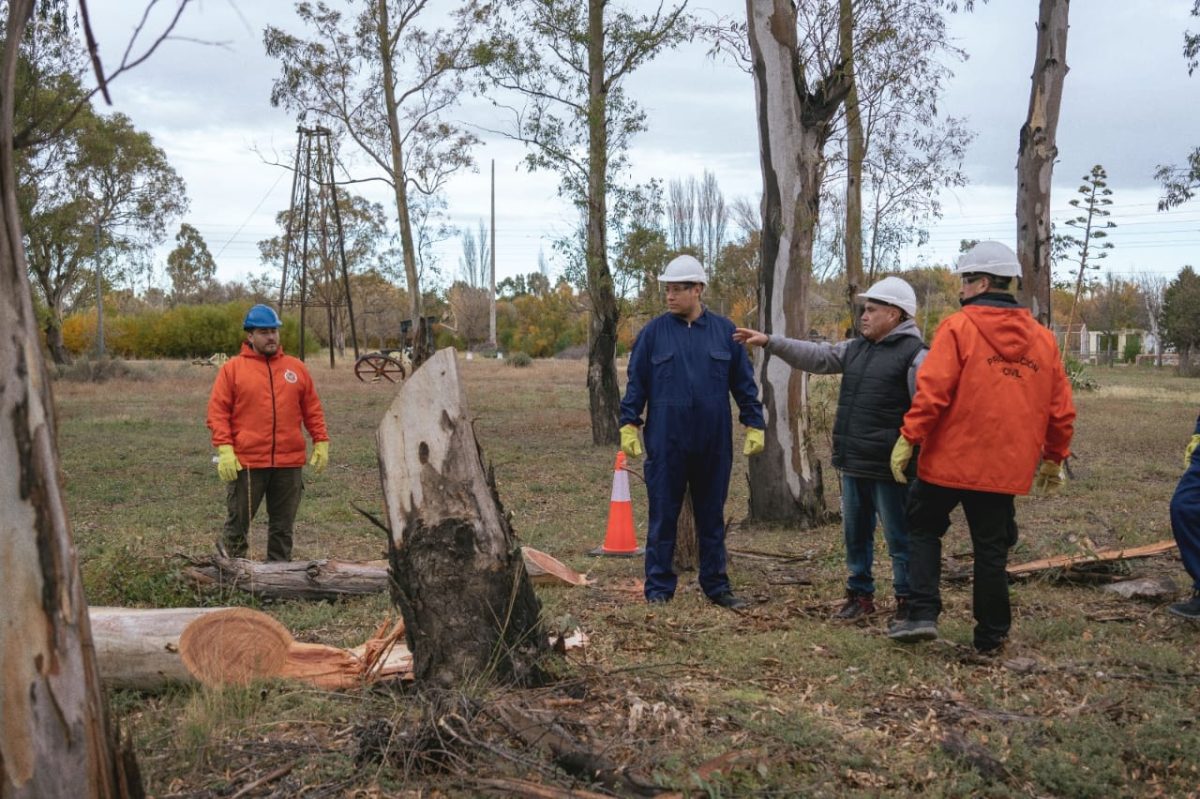 capacitación en poda urbana