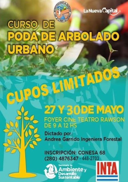 Rawson ofrece curso gratuito de poda urbana