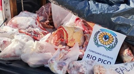 Rio-Pico-decomisan-carne-faenada-sin-documentacion
