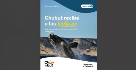 chabut recibe a las ballenas