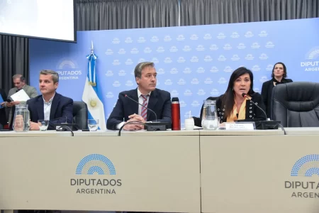 Libertarios y PRO