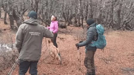 Rescataron mujeres desaparecidas