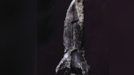 🌍 Japón sorprende al mundo con el hallazgo de una nueva especie de dinosaurio fosilizado