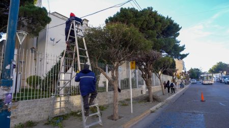 Municipio inició operativo de poda en la ciudad