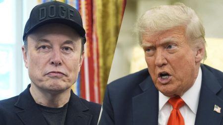 elonk musk - donald trump