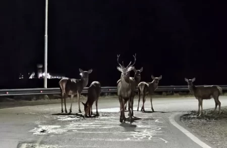Aeropuerto Bariloche