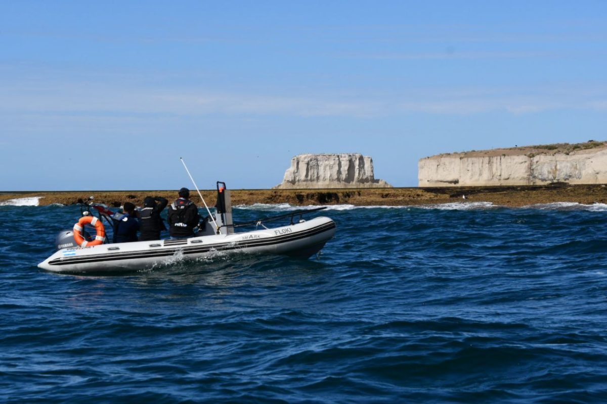 "Habitantes del mar"