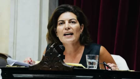 Ana Clara Romero candidata de Despierta Chubut