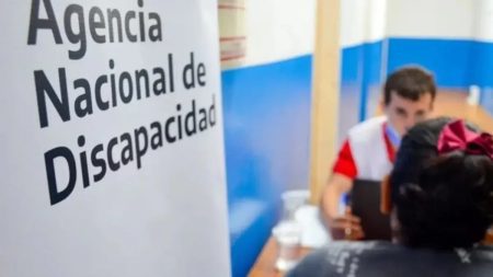 asesoramiento ANDIS en Rawson