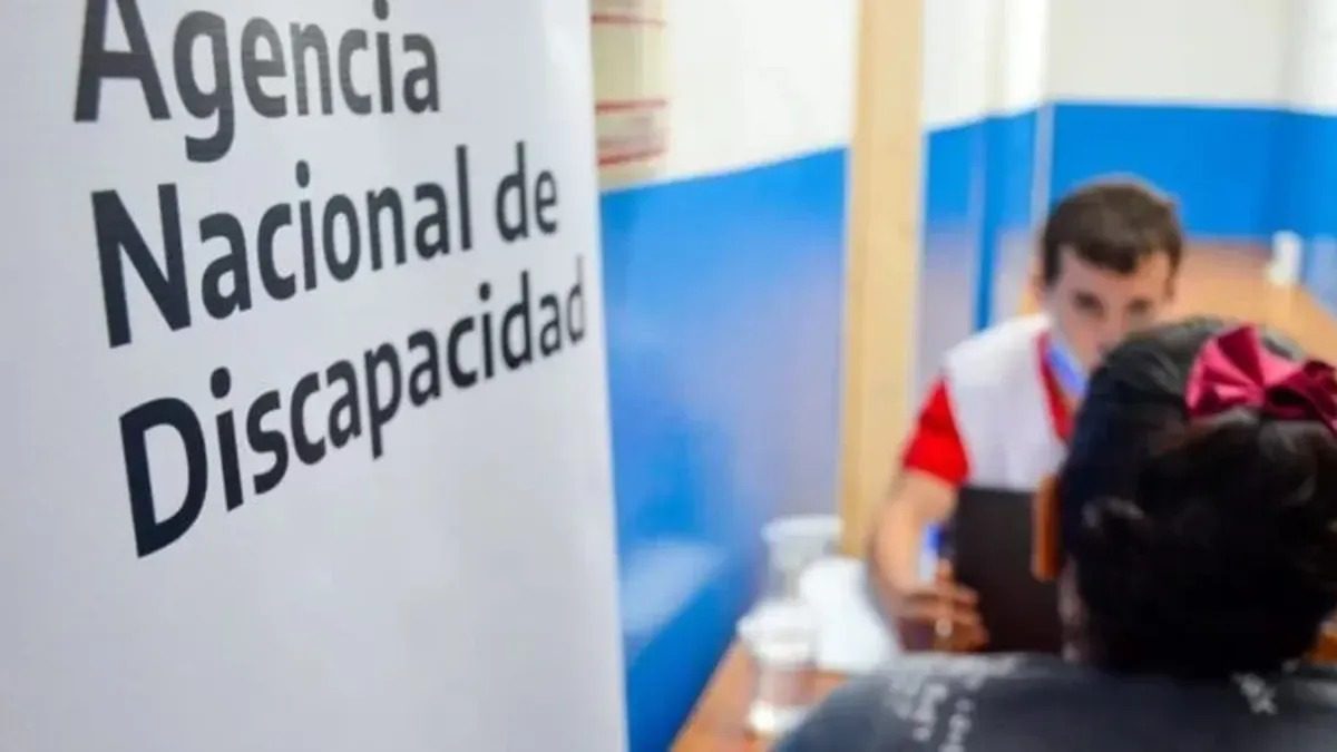 asesoramiento ANDIS en Rawson