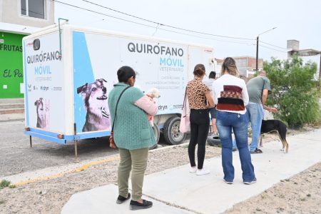 cuidado responsable de animales Madryn