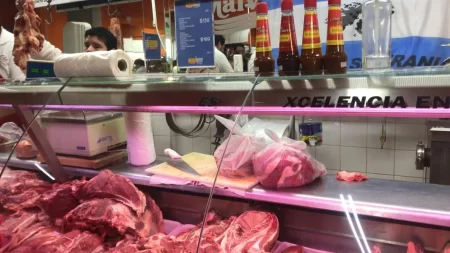 importación de carne argentina