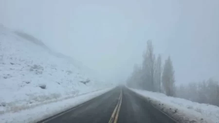 Complicaciones por la niebla en las rutas de Neuquén y Río Negro hay poca visibilidad