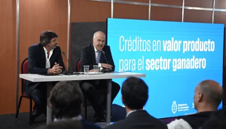créditos a valor novillo para ganaderos