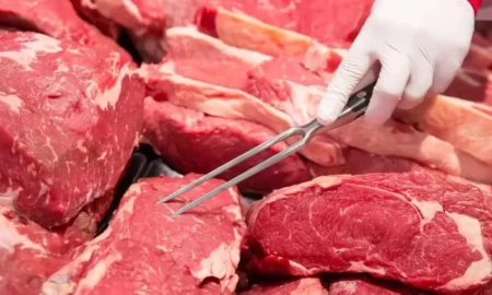 Consumo de carne vacuna en Argentina
