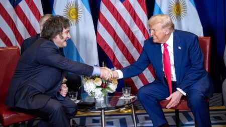 Amicus Curiae de la Argentina