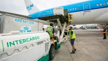 privatización de Intercargo