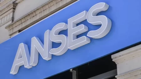 bono extra de ANSES en agosto