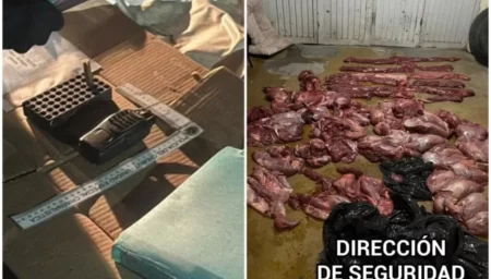 Interceptan carne de guanaco y municiones en operativo nocturno