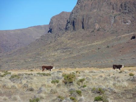 sequía en la Patagonia productores rurales