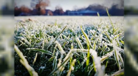 Llego el Viernes polar: En Comodoro y Rada Tilly la temperatura no superará los 3°C