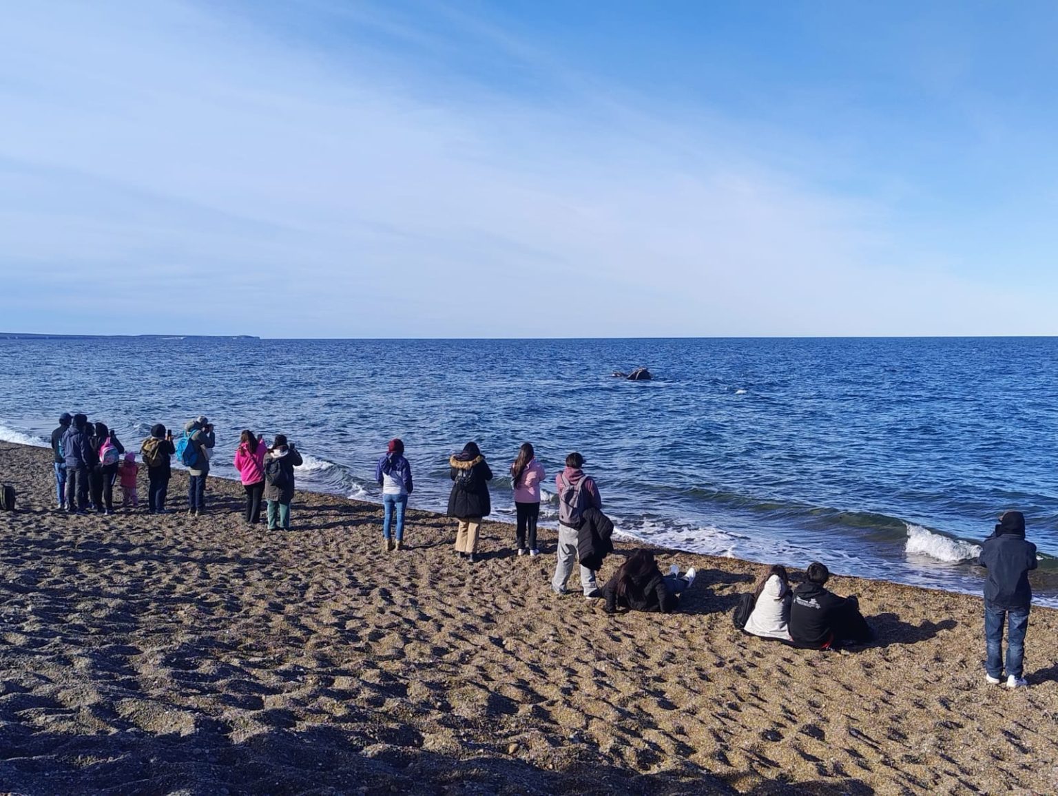 Madryn: vecinos vivieron salidas gratuitas al Área Protegida El Doradillo