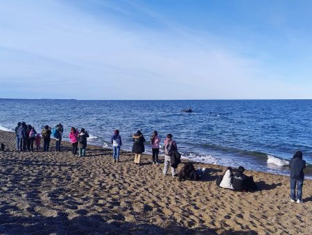 Madryn: vecinos vivieron salidas gratuitas al Área Protegida El Doradillo