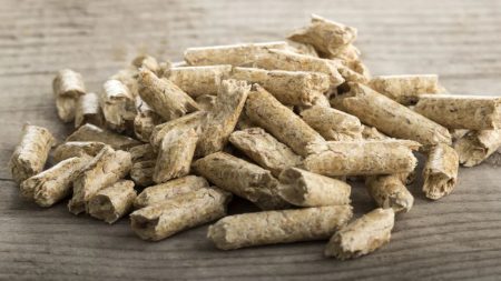 Primera fábrica de pellets en Neuquén