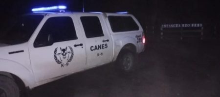 División Canes de Trevelin secuestro carne transportada ilegalmente en Trevelin
