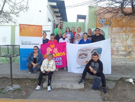 castraciones gratuitas
